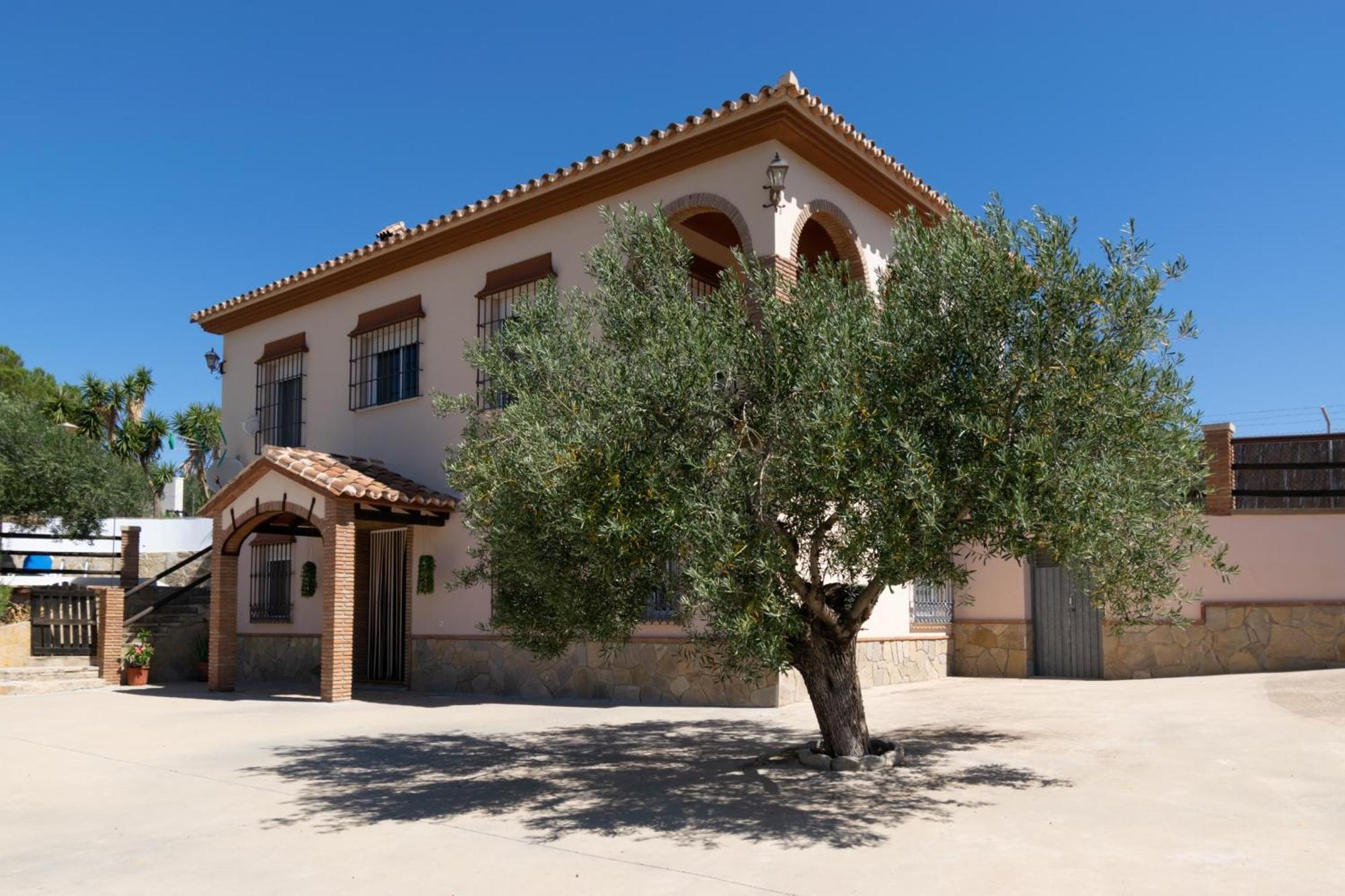 Casa Los Olivos Alora - Caminito Del Rey Eksteriør billede