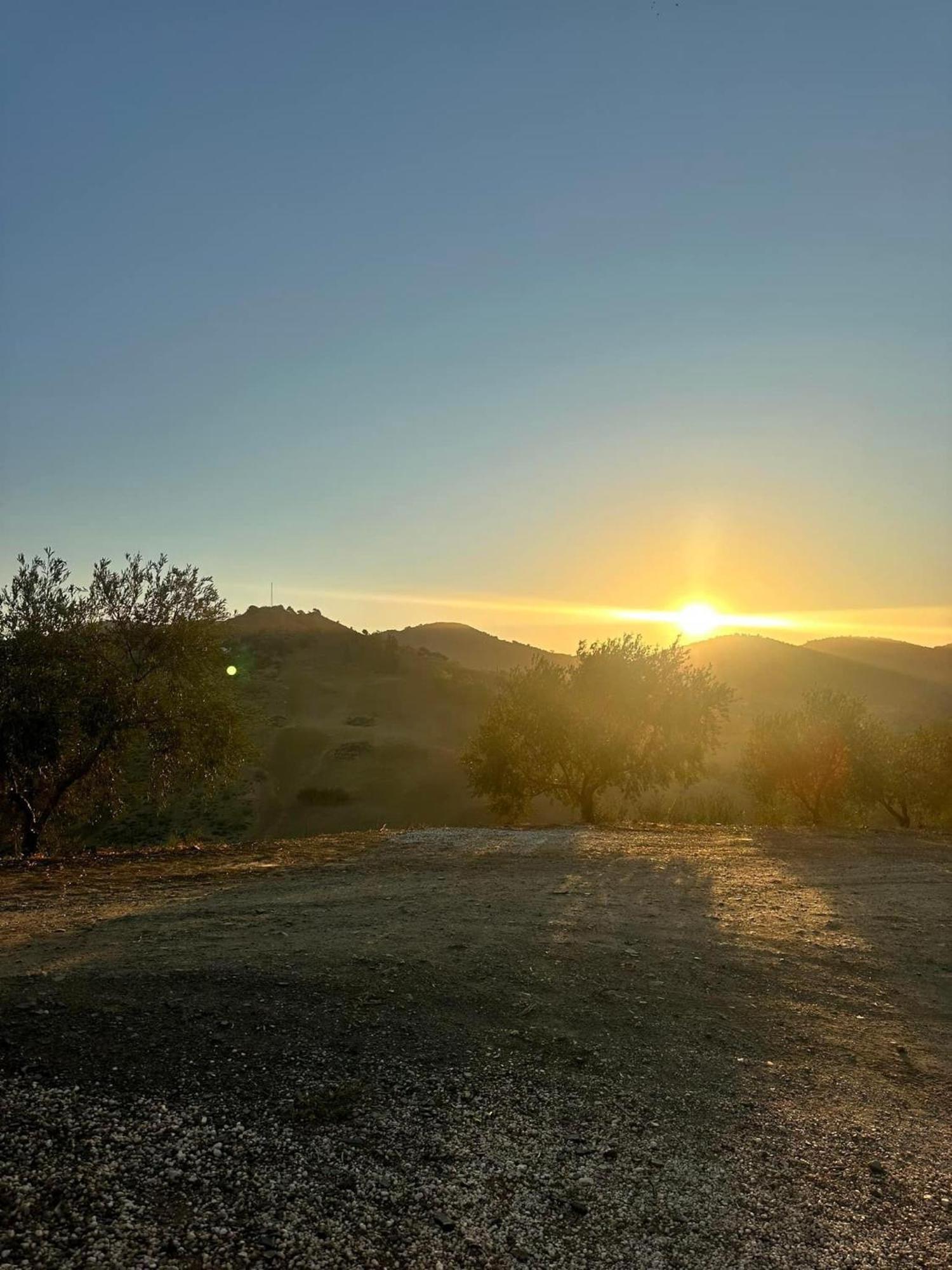 Casa Los Olivos Alora - Caminito Del Rey Eksteriør billede